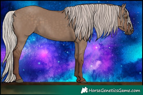 Horse Color:Void White Spotted Silver Grullo Rabicano 