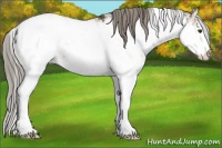 Horse Color:Chocolate Palomino Sabino Snowcap 