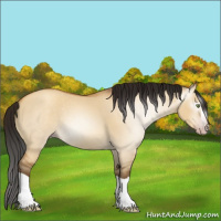 Horse Color:Gray Amber Champagne Dun Splash 