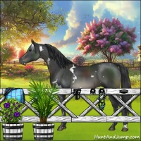 Horse Color:White Spotted Black 