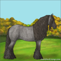 Horse Color:Smoky Blue Roan 