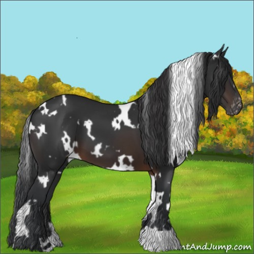 Horse Color:White Spotted Brown Varnish 