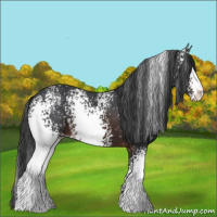 Horse Color:White Spotted Brown Sabino Snowflake Varnish 