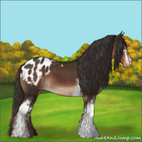 Horse Color:White Spotted Liver Chestnut Varnish 