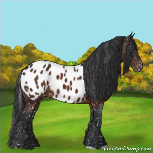 Horse Color:Brown Blanket