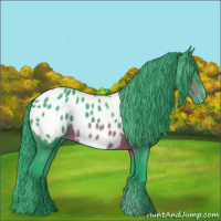 Horse Color:Watercolor Brown Appaloosa 