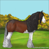 Horse Color:Brown Sabino Splash 