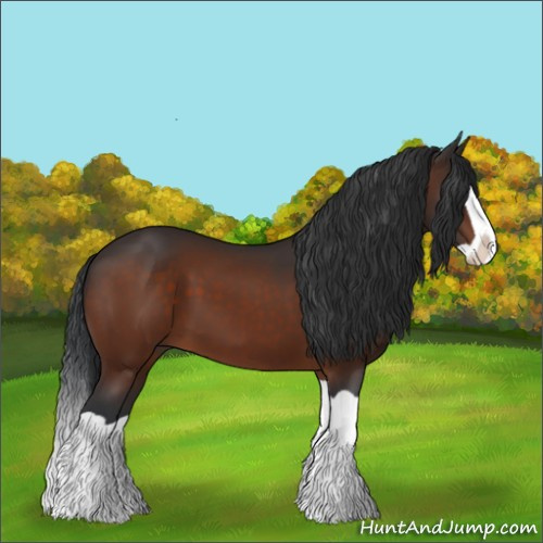 Horse Color:Brown Splash