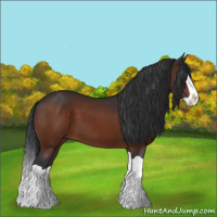Horse Color:Brown Splash