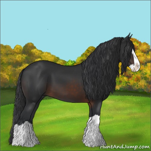 Horse Color:Brown Splash