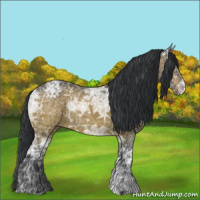 Horse Color:Brown Ice 