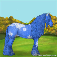 Horse Color:Watercolor Black Ice 
