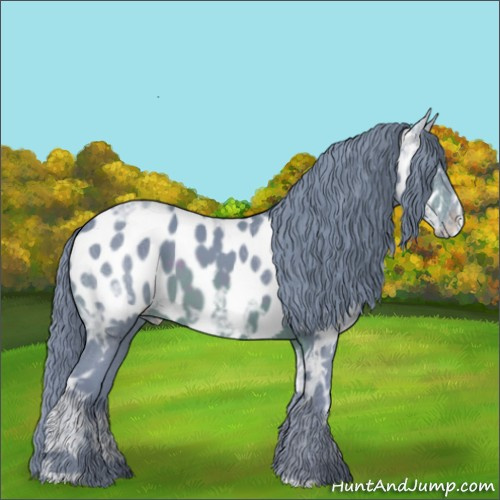 Horse Color:Watercolor Brown Ice Near Leopard 