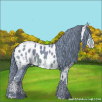 Horse Color:Watercolor Brown Ice Appaloosa 