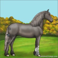 Horse Color:Silver Black 