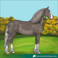 Horse Color:Silver Black 