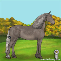 Horse Color:Silver Black 