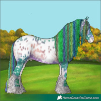 Horse Color:Painted Watercolor White Spotted Brown Onyx Blanket