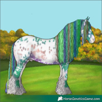 Horse Color:Painted Watercolor White Spotted Brown Onyx Appaloosa