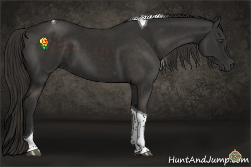 Horse Color:Liver Chestnut Tobiano