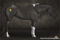 Horse Color:Liver Chestnut Tobiano 