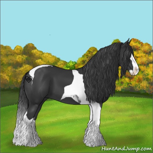Horse Color:Black Splash Tobiano 