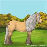 Horse Color:Silver Buckskin 