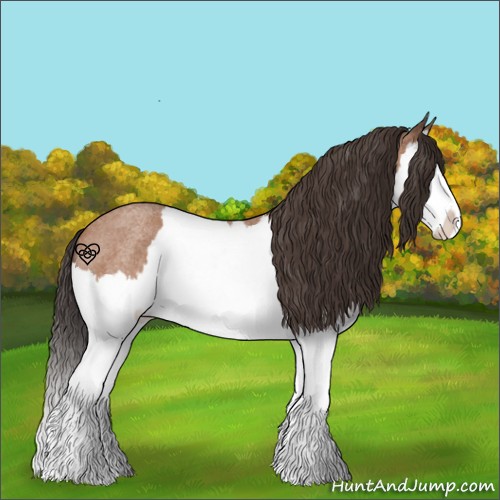 Horse Color:Bay Roan Splash