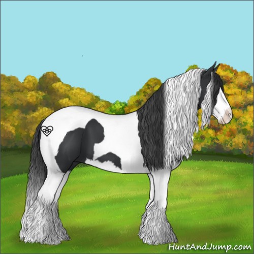 Horse Color:Black Splash Tobiano 