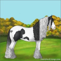 Horse Color:Black Splash Tobiano 