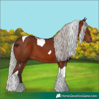 Horse Color:Silver Brown Tobiano 