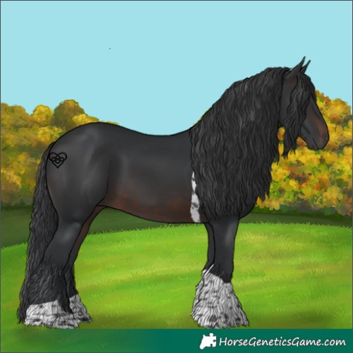 Horse Color:Brown Tobiano