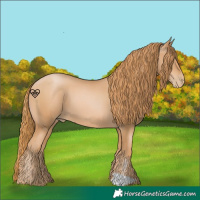Horse Color:Chestnut Pearl 