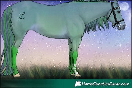 Horse Color:Painted Watercolor Buckskin 