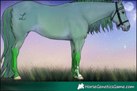 Horse Color:Painted Watercolor Buckskin 