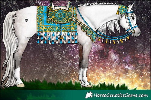 Horse Color:Gray Silver Bay 
