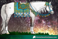 Horse Color:Gray Silver Bay 