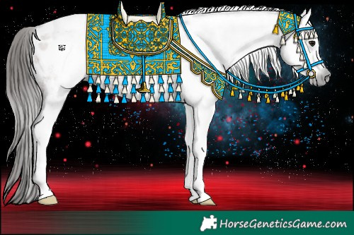 Horse Color:Gray White Spotted Bay Appaloosa 