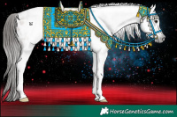 Horse Color:Gray White Spotted Bay Appaloosa