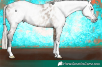 Horse Color:Gray Silver Bay Dun Near Leopard 