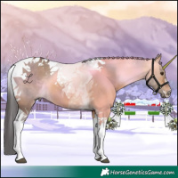 Horse Color:Bay Dun Tobiano 