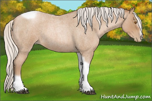 Horse Color:Silver Blue Roan Pearl Tobiano Frame