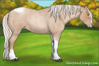 Horse Color:Silver Blue Roan Pearl Tobiano Frame 