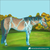 Horse Color:Thunderstruck Buckskin Dun Tobiano 
