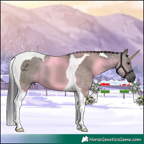 Horse Color:Smoky Grullo Tobiano 