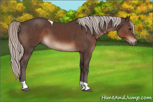 Horse Color:Silver Black Tobiano 