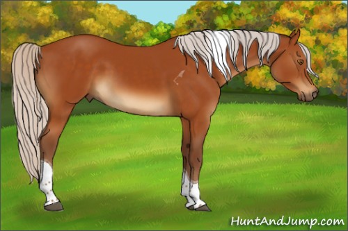 Horse Color:Silver Buckskin Tobiano 