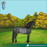 Horse Color:Black Rabicano 