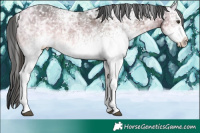 Horse Color:White Spotted Liver Chestnut Ice Snowflake Varnish Rabicano 