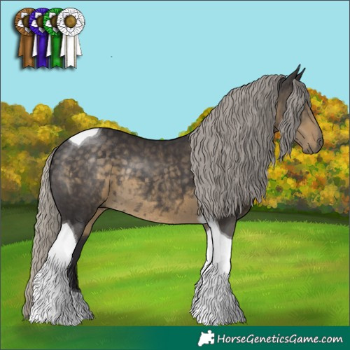 Horse Color:Silver Smoky Black Tobiano Rabicano
